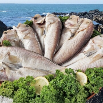 [특대] 제주맛수다 특품 청보리 귀한 옥두어 자연산 손질 청보리 옥두어 5팩